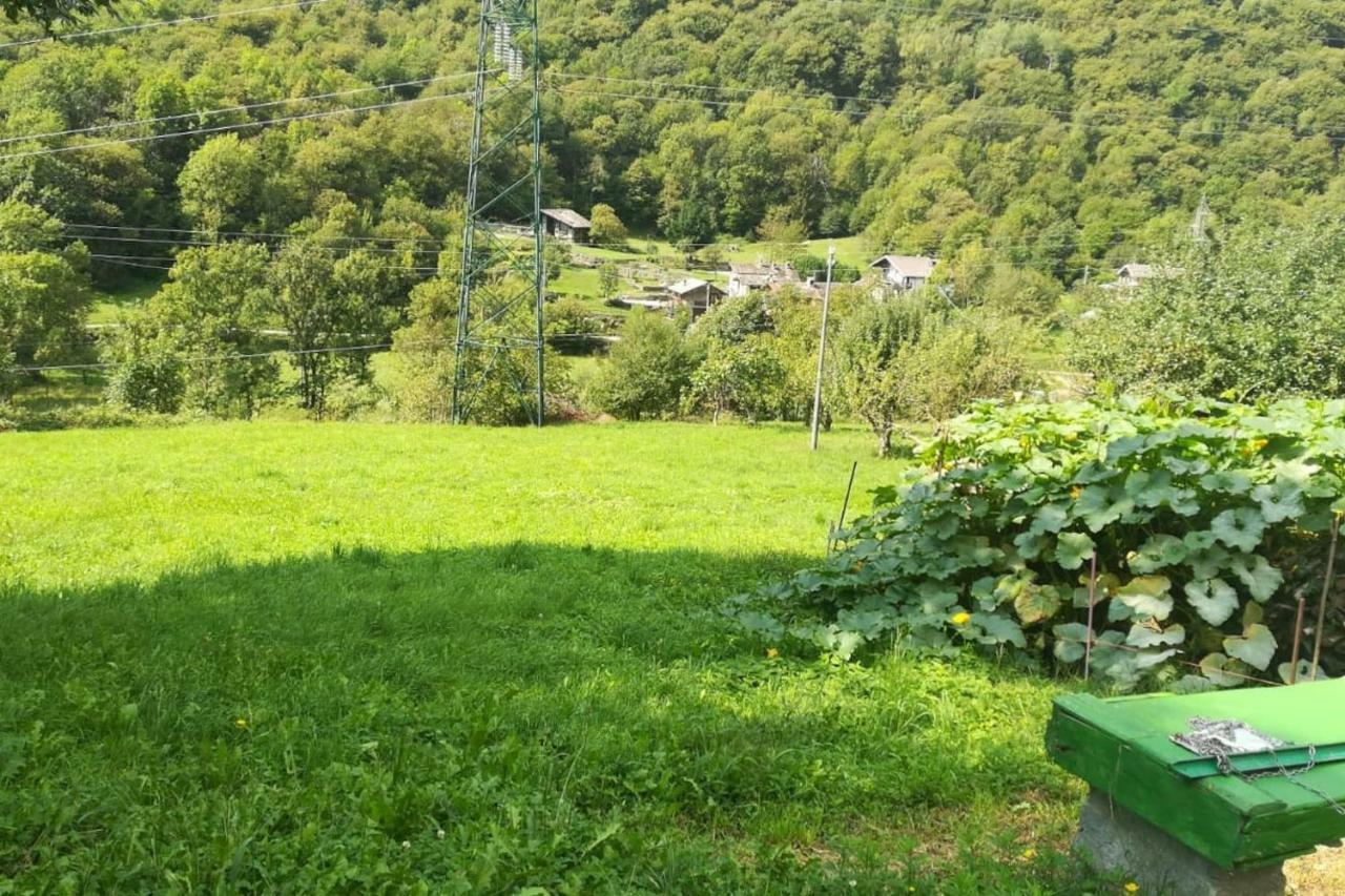 Il Bilocale Della Nonna Villa Locana Bagian luar foto